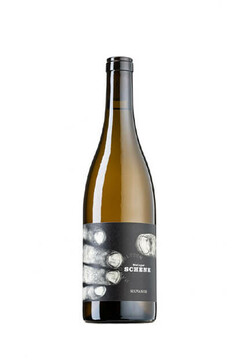 Weingut-Schenk-Silvaner-Spiegelung